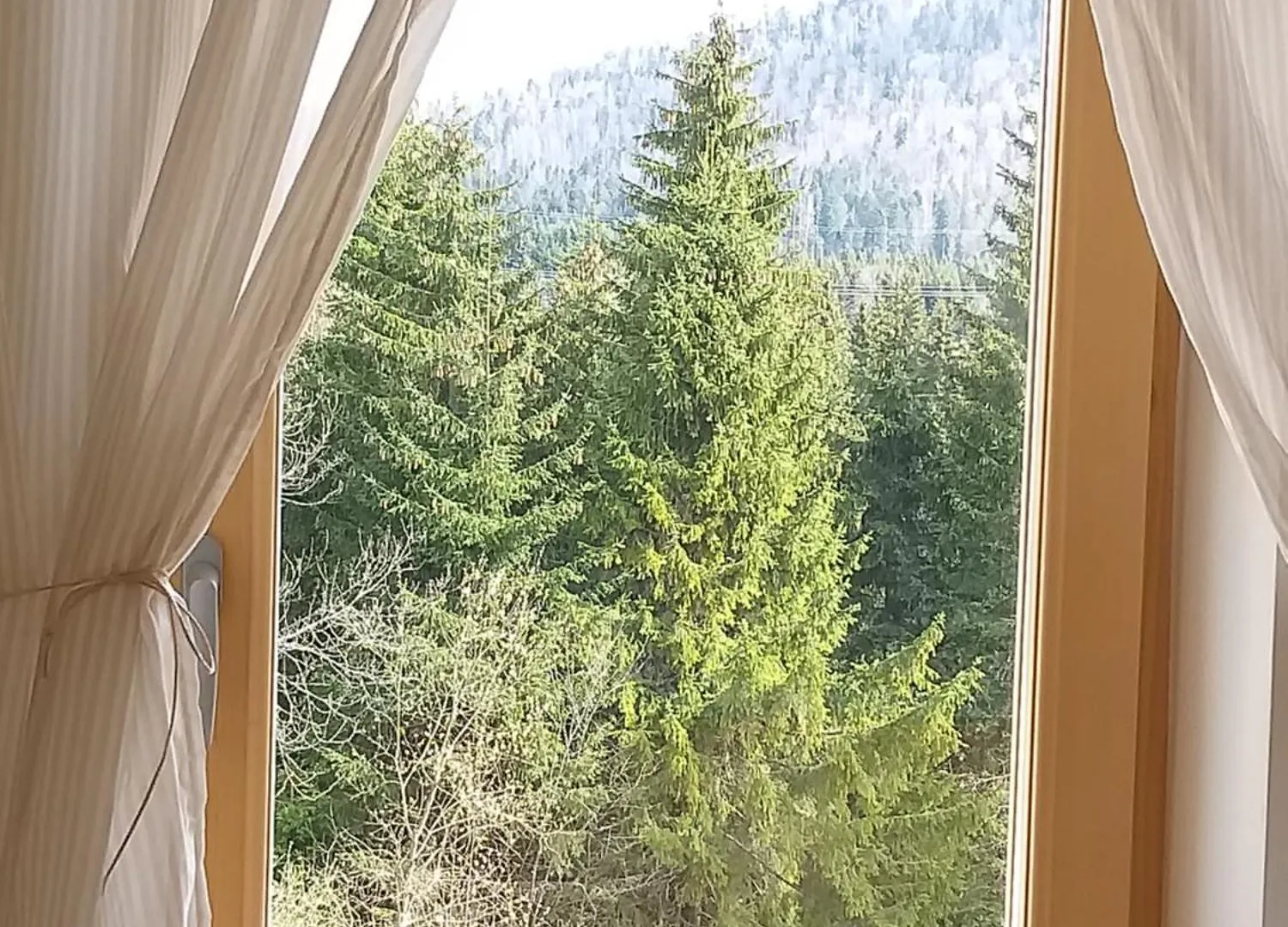 빌라 Holiday Home Meyer Stara Susica